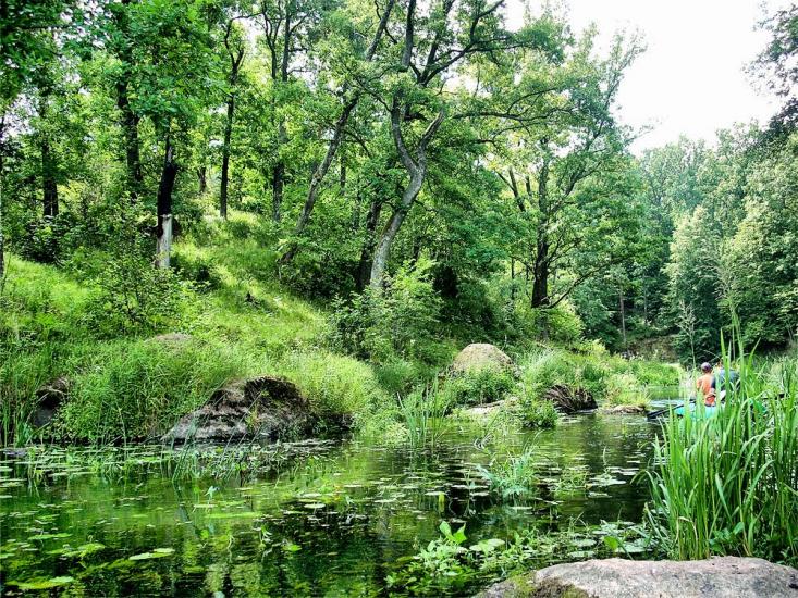 Струмок з panoramio.com - Струмок