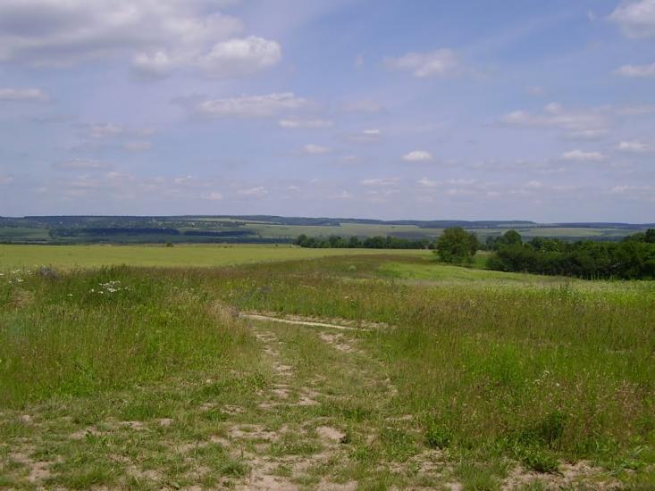 Коржівці з panoramio.com - Korzhivtsi