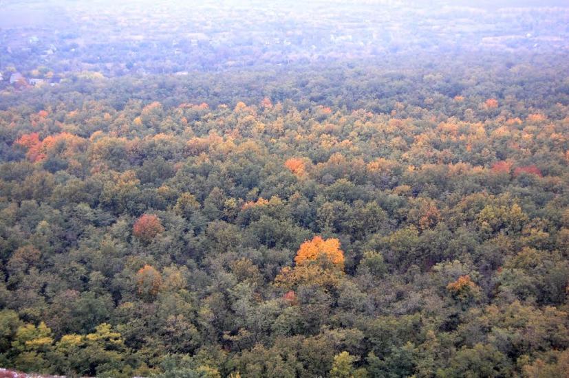 Широка Балка з panoramio.com - Широка Балка