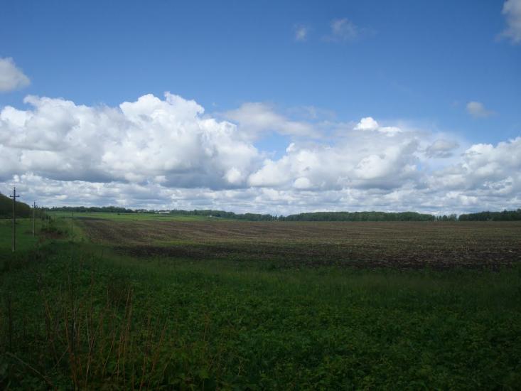 Жищинці з panoramio.com - Жищинці