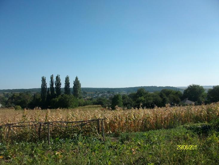 Тарасівці з panoramio.com - Тарасовцы