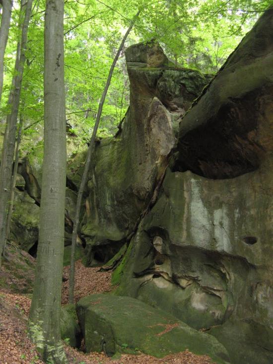 Хорови з panoramio.com - Хоровы