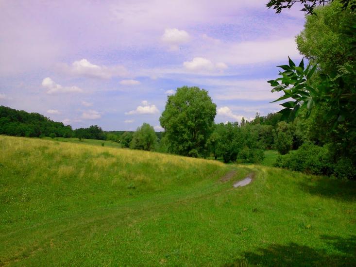 Тарасівка з panoramio.com - Тарасівка