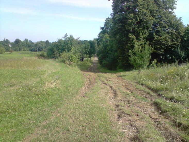 Конів з panoramio.com - Конів