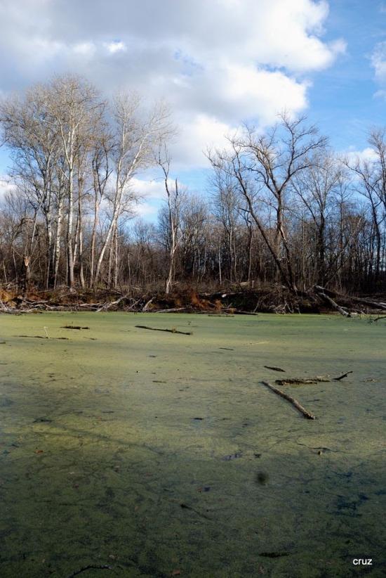 Великий Тростянець з panoramio.com - Великий Тростянец