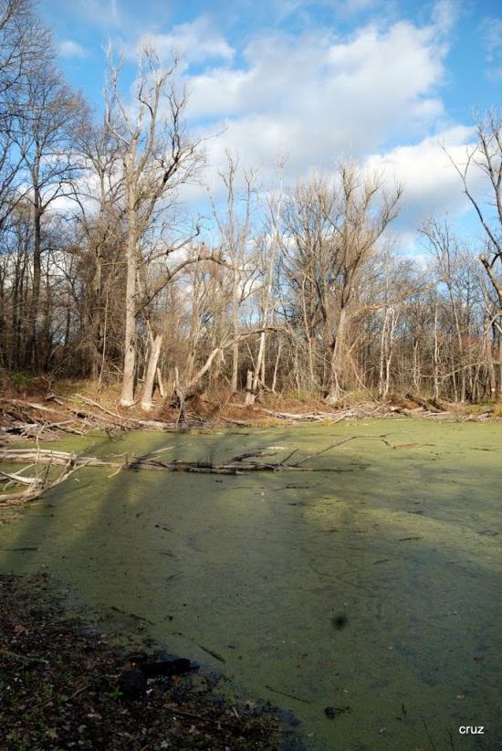 Великий Тростянець з panoramio.com - Великий Тростянец