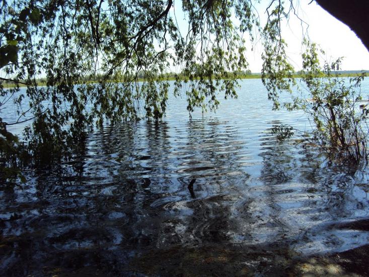 Карпилівка з panoramio.com - Карпилівка