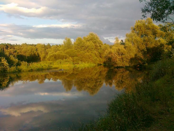 Хотин з panoramio.com - Хотын