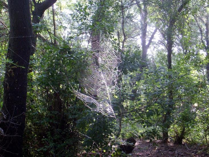 Хорли з panoramio.com - Хорли