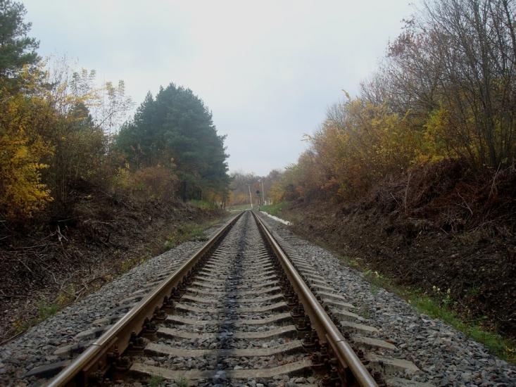 Вільхівчик з panoramio.com - Вільхівчик