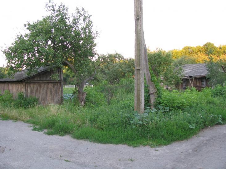 Кут з panoramio.com - Кут