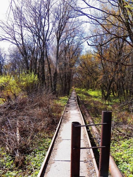 Булавинське з panoramio.com - Булавинське