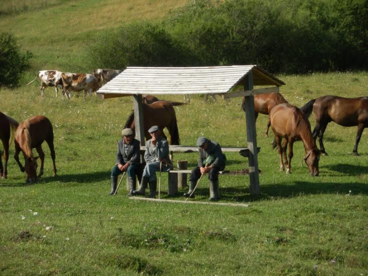 Шум'яч з panoramio.com - Шум'яч