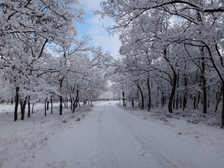 Юнокомунарівськ з panoramio.com - Юнокомунаровск