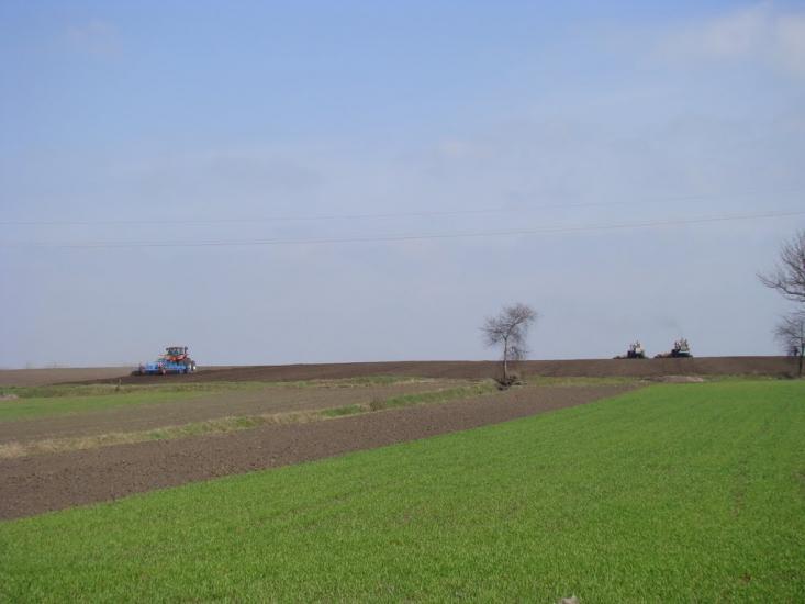 Матюші з panoramio.com - Матюши