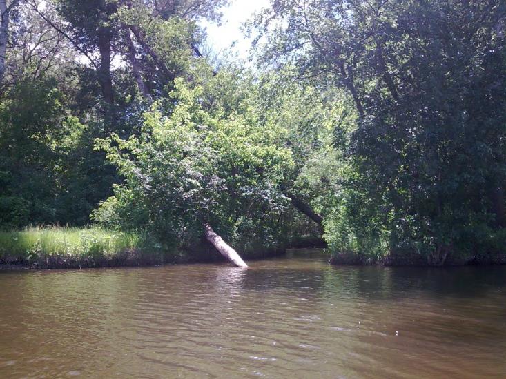 Дзержинське з panoramio.com - Дзержинское