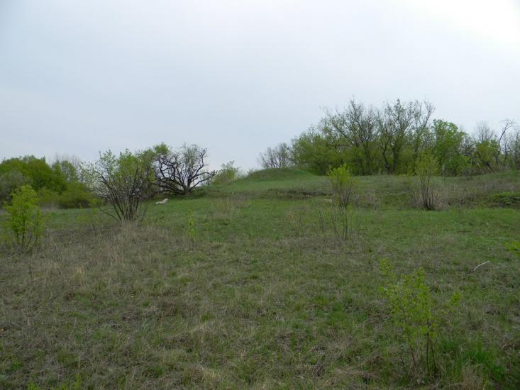 Івангород з panoramio.com - Ивангород