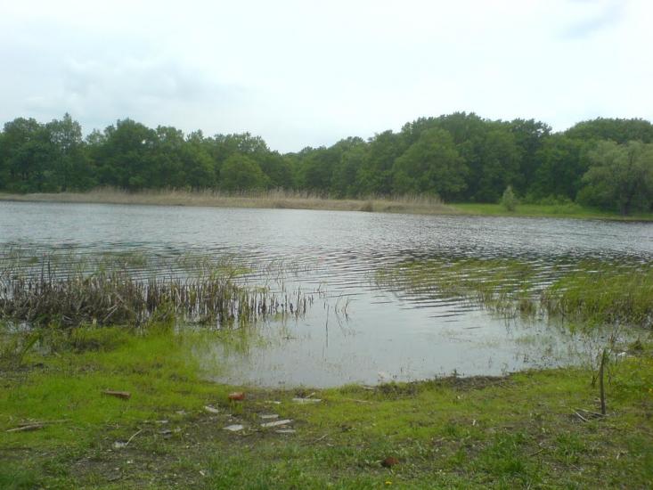 Морозівка з panoramio.com - Морозовка