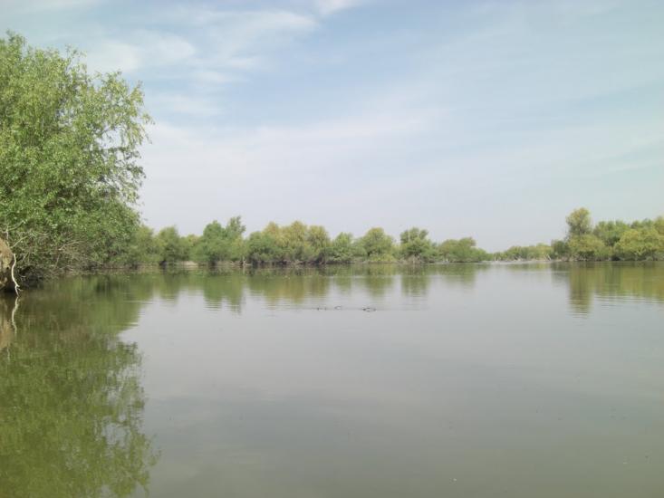 Дунайське з panoramio.com (ч.2) - Дунайське