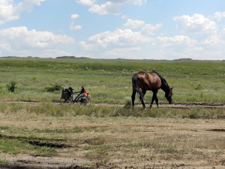 Малокостянтинівка з panoramio.com - Малоконстантиновка