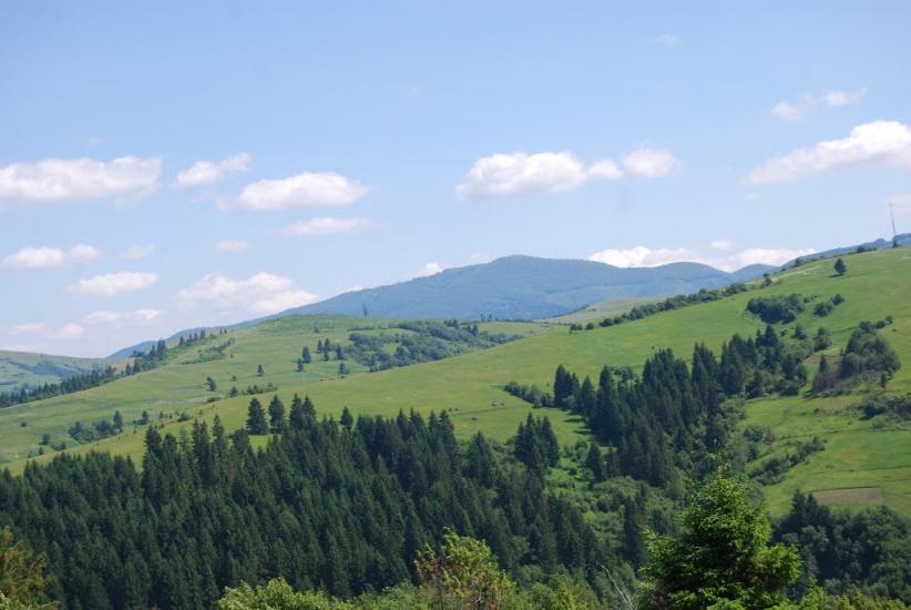 Річка з panoramio.com - Річка