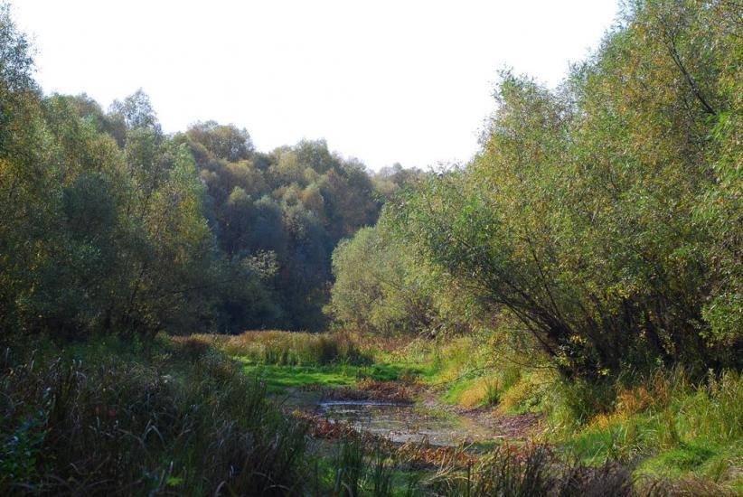 Макошине з panoramio.com - Макошино