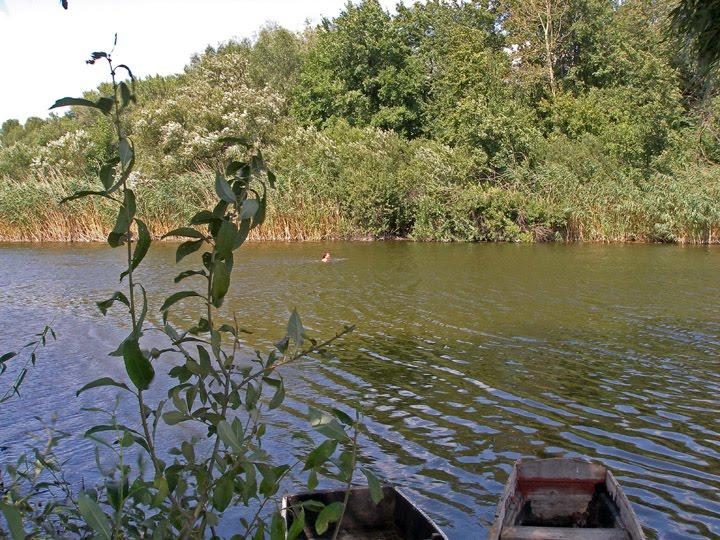 Литвинівка з panoramio.com - Литвиновка