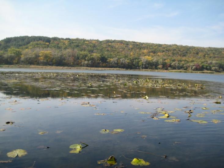 Сенькове з panoramio.com - Сеньково