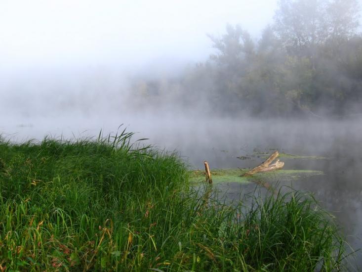 Пискунівка з panoramio.com - Pyskunivka