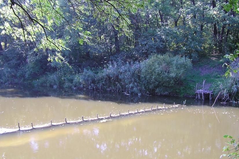 Підлісне з panoramio.com - Pidlisne