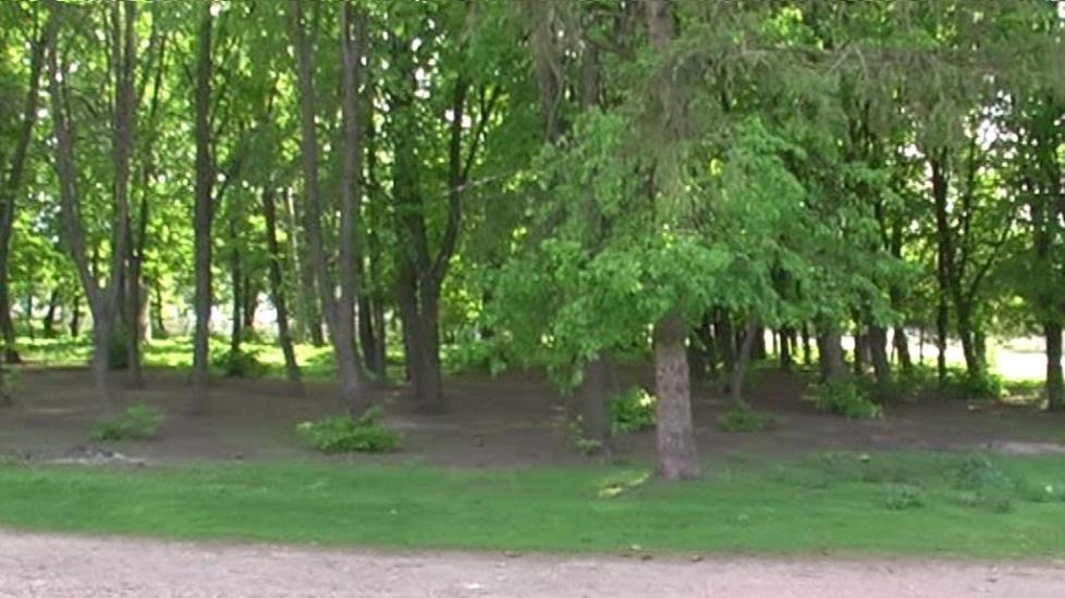 Горошків з panoramio.com - Горошков