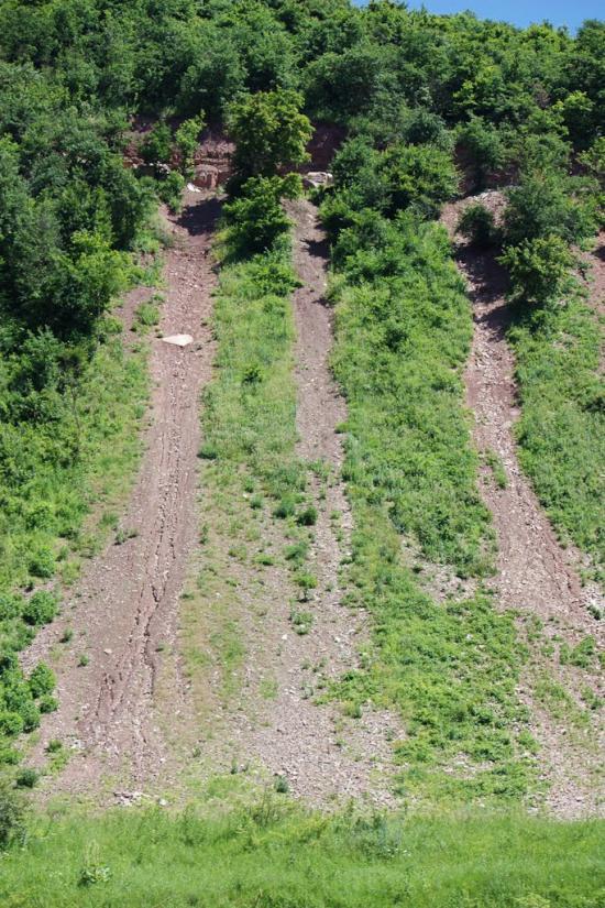 Петрів з panoramio.com - Петров