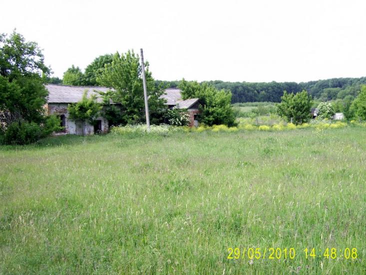 Куряжанка з panoramio.com - Куряжанка