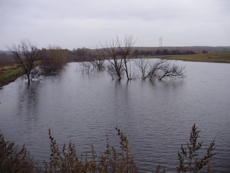 Підлісне з panoramio.com - Pidlisne