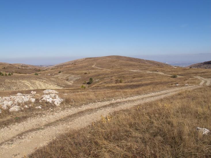 Пчолине з panoramio.com - Пчелиное