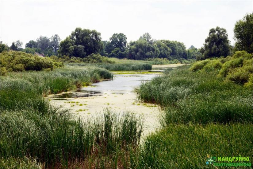 Хомутець з panoramio.com - Хомутець