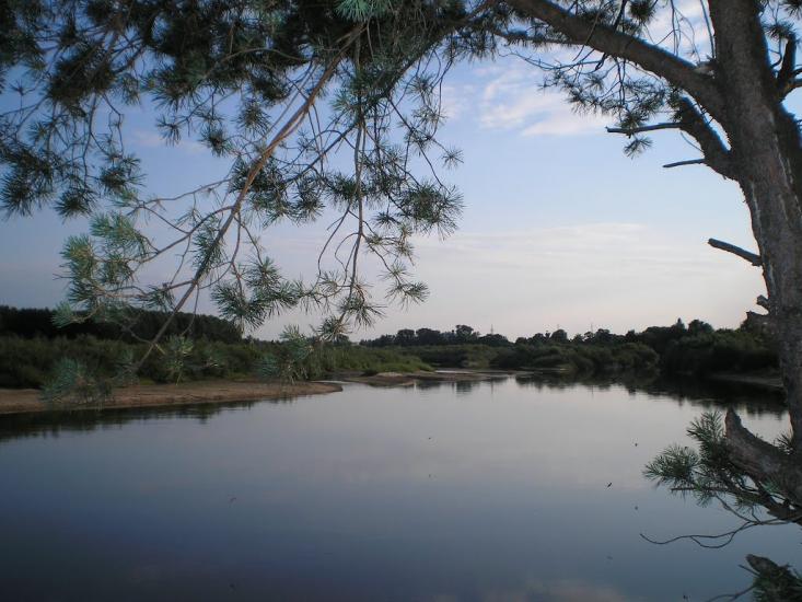 Сарни з panoramio.com - Сарни