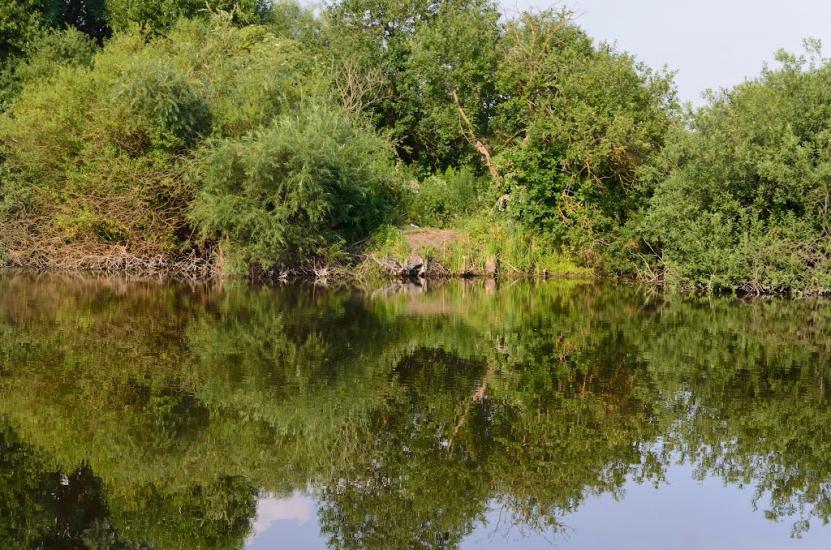 Біла з panoramio.com - Біла