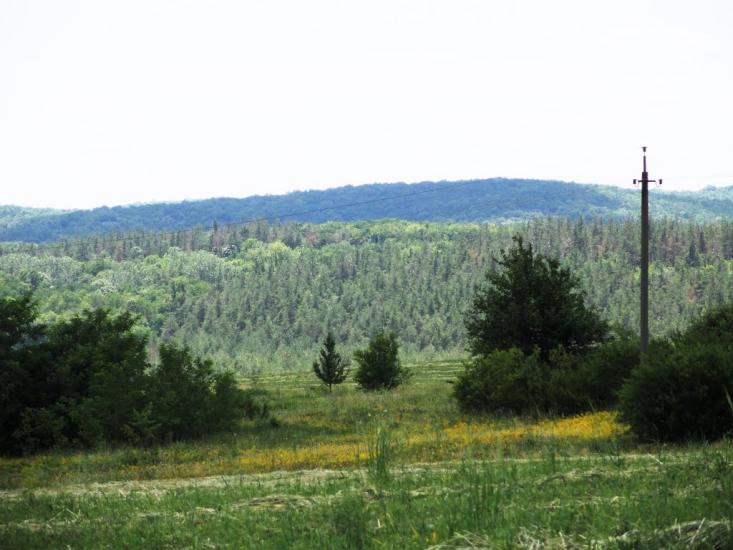 Опішня з panoramio.com - Опошня