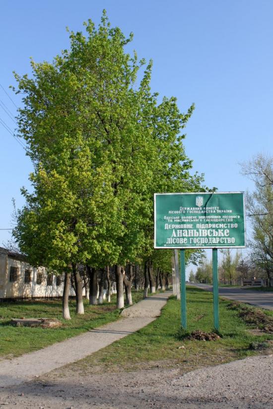 Ананьїв з panoramio.com - Ананьев