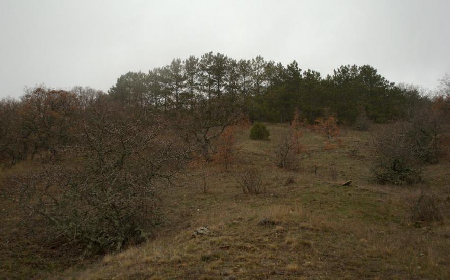 Лісне з panoramio.com - Лесное