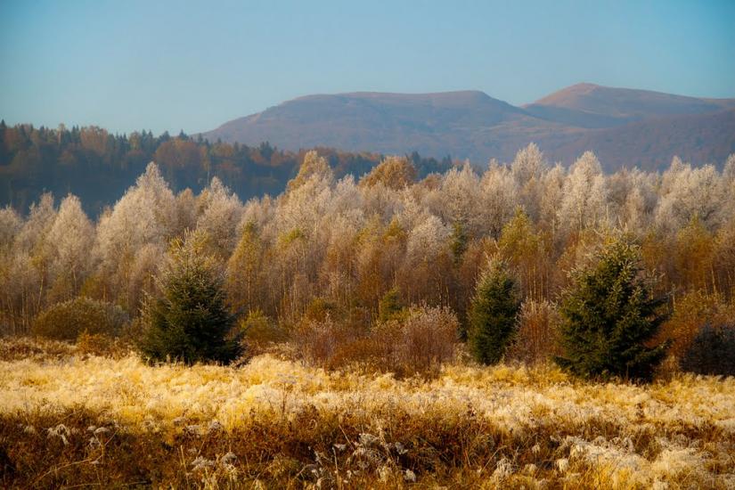 Шандровець з panoramio.com - Shandrovets