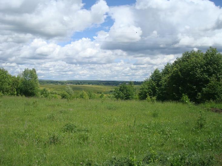 Балакири з panoramio.com - Balakyry