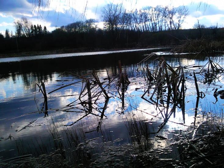 Могилівка з panoramio.com - Могилевка