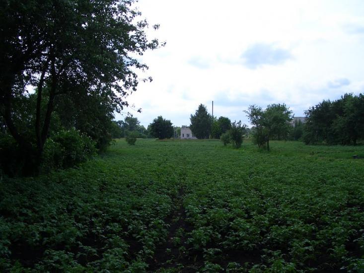 Алтинівка з panoramio.com - Алтинівка