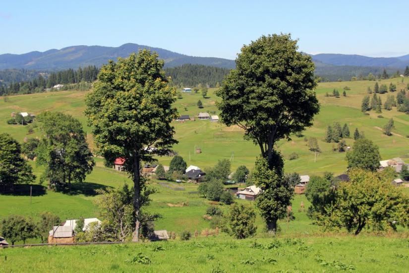 Сенечів з panoramio.com - Сенечев
