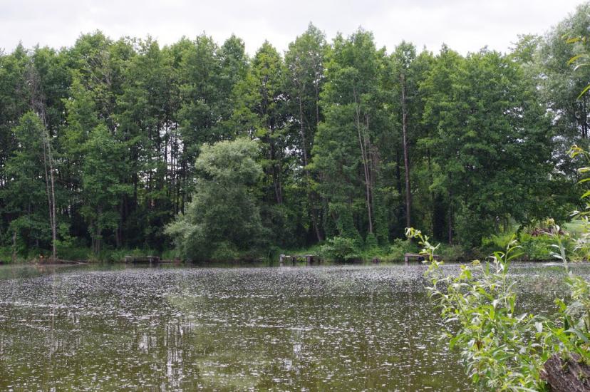 Блиставиця з panoramio.com - Блиставиця