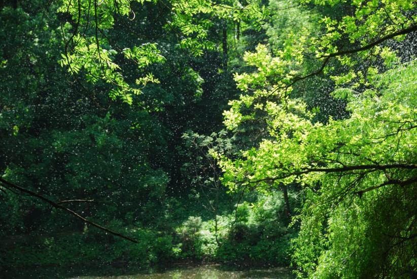 Краснокутськ з panoramio.com - Краснокутск