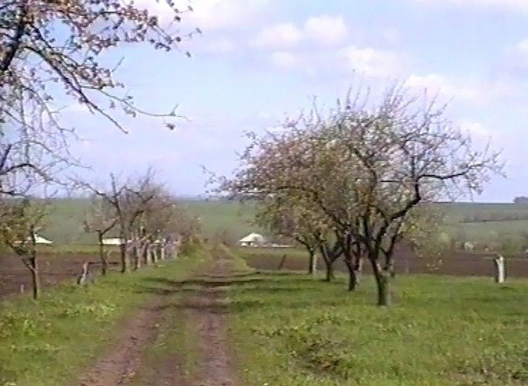 Ратуш з panoramio.com - Ратуш