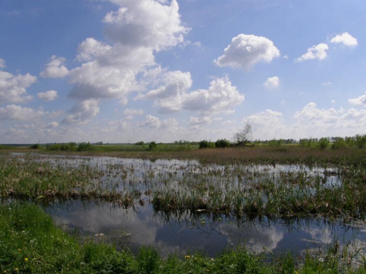 Корчів з panoramio.com - Корчів